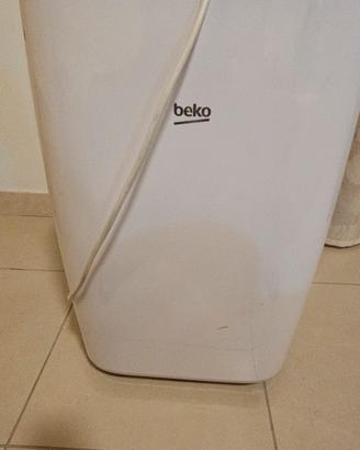 condizionatore portatile 