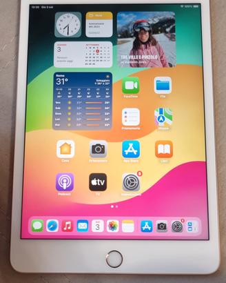 IPAD MINI ( 5 GEN)