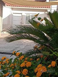 Casa vacanza Siderno