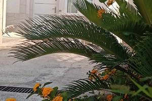Casa vacanza Siderno