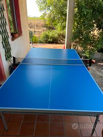 Tavolo da ping pong