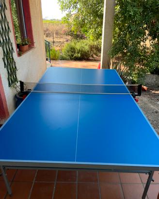 Tavolo da ping pong