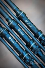 Canne da carpfishing