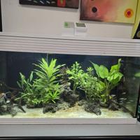 Acquario Askoll Pure Led XL