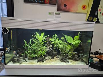 Acquario Askoll Pure Led XL