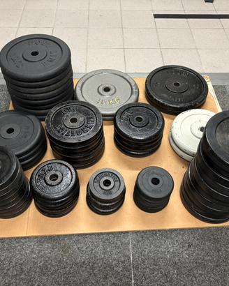 Dischi pesi palestra