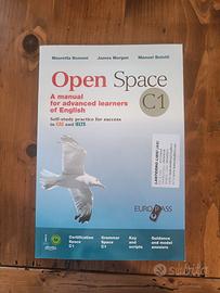 Open Space c1 + cd