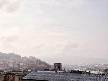 Cardeto ( rif. e96-3565)