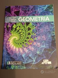 Geometria per Università 