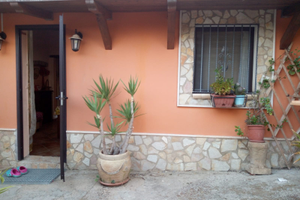 Violetta contrada pisciotto