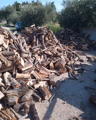 legna da ardere