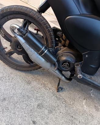Stage 6 pro replica piaggio