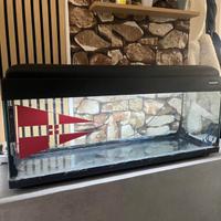 Aquario