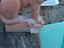 Immagine 2
