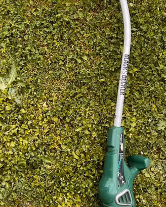 Tagliaerba black & decker