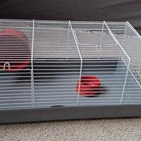 Gabbietta per roditori 