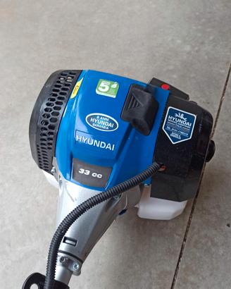 DECESPUGLIATORE HYUNDAI