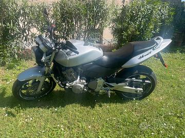 Hornet 600
