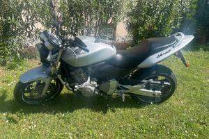 Hornet 600