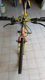 Bici misura 26