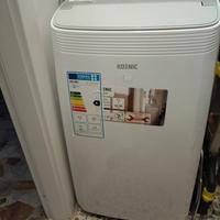 Pinguino climatizzatore