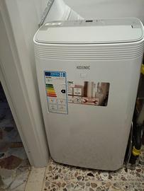 Pinguino climatizzatore