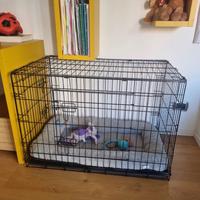Kennel in perfetto stato