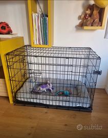 Kennel in perfetto stato