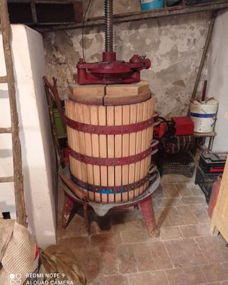 Torchio e pigiatrice 