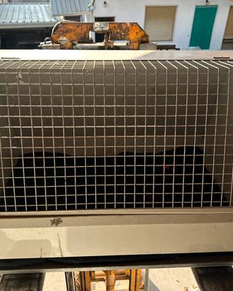 Kennel in ferro per cani