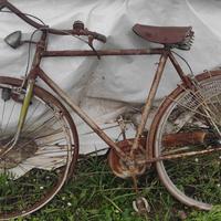 3 biciclette una con acqua bicipite e due con fren