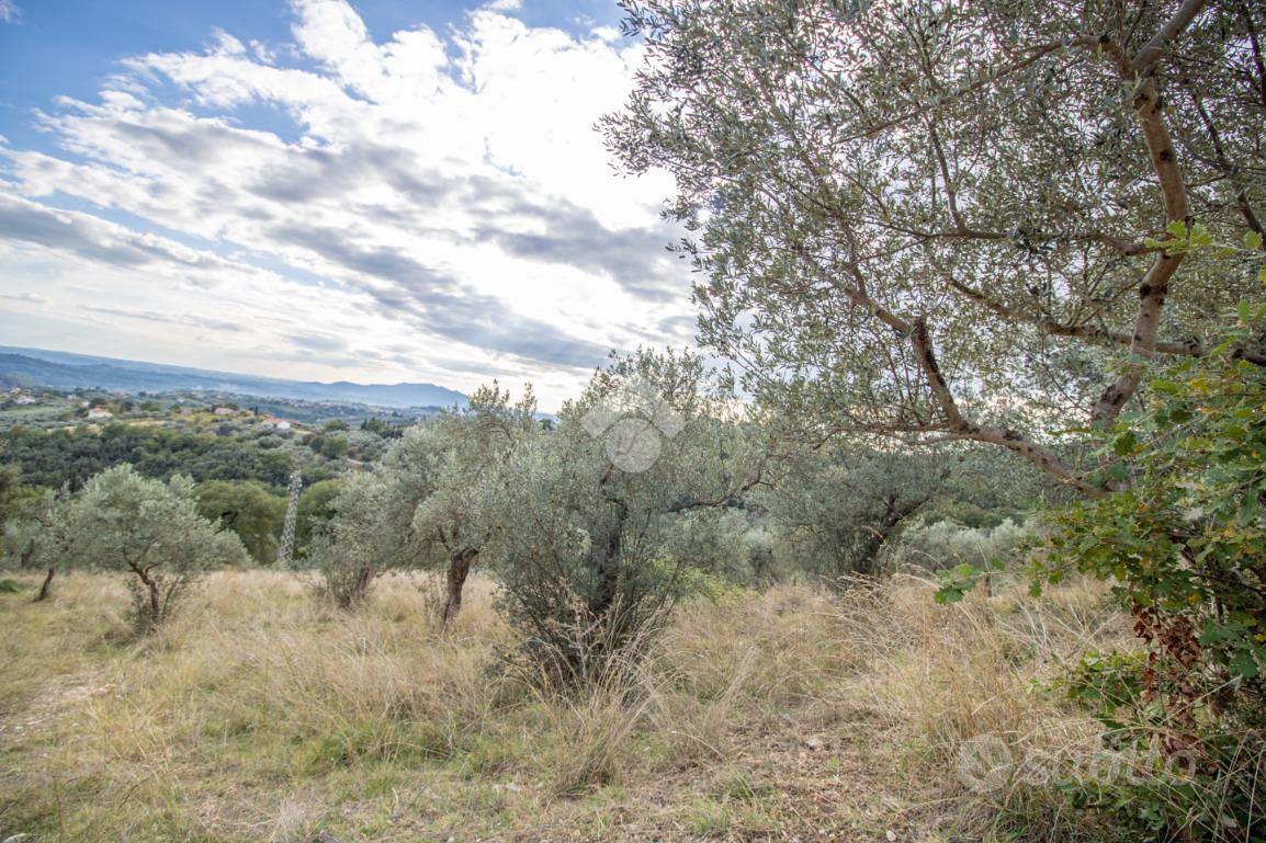 TER. AGRICOLO A TORRI IN SABINA - Vista 4