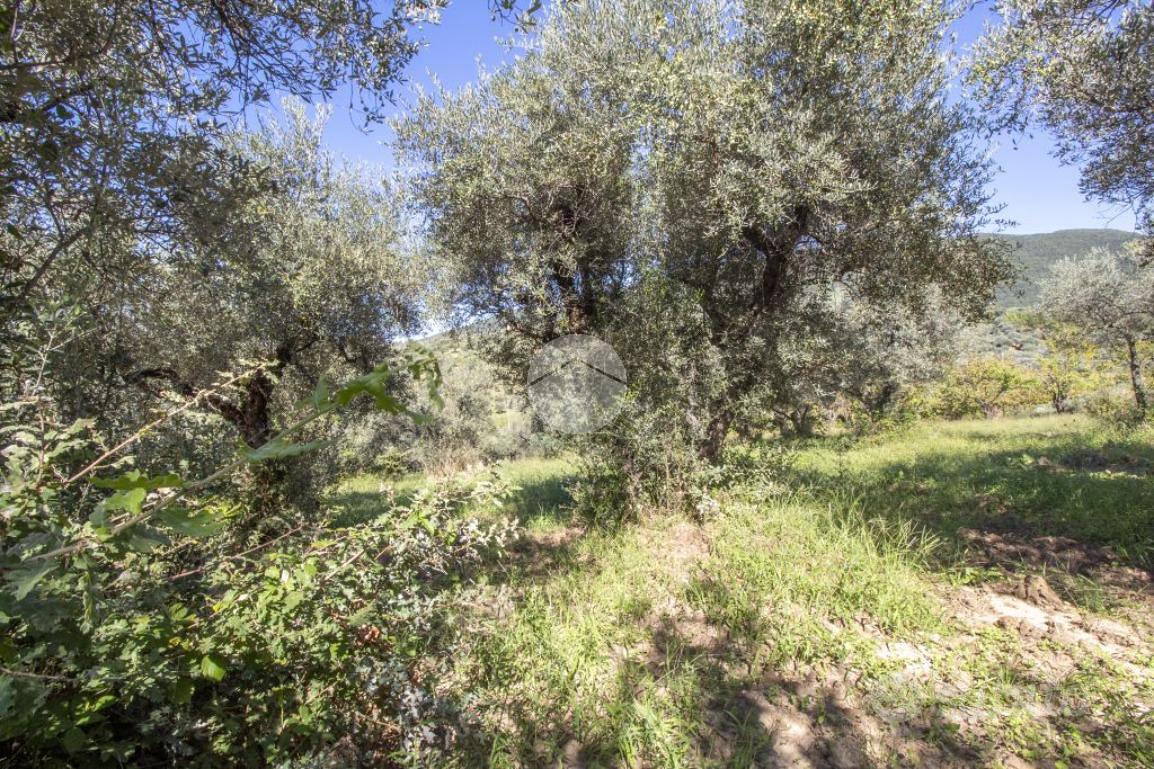 RUSTICO A PALOMBARA SABINA - View 6
