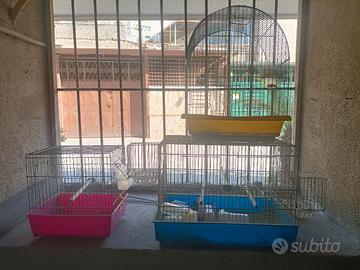 gabbie per uccelli 