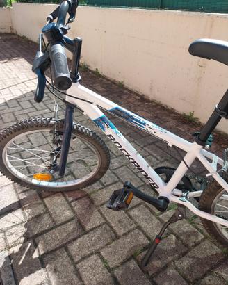 bicicletta 