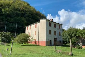 Appartamento da ristrutturare, terrazza e giardino