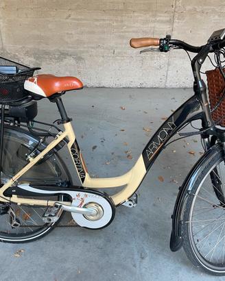 Bici elettrica