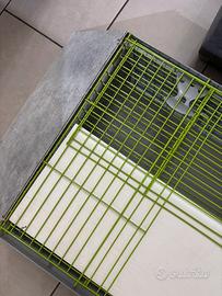 Gabbia conigli o roditori