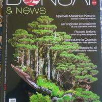 Bonsai & news rivista Ottobre 2019