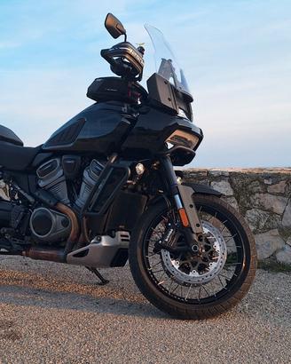Pan America 1250 special