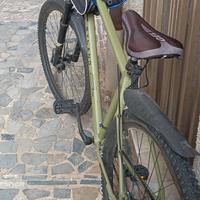 Mountain bike 