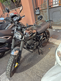 Brixton Cromwell 250 2022