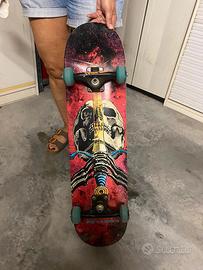 Skate Powell Peralta