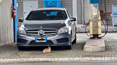 4 fari alogeni originali, Mercedes!