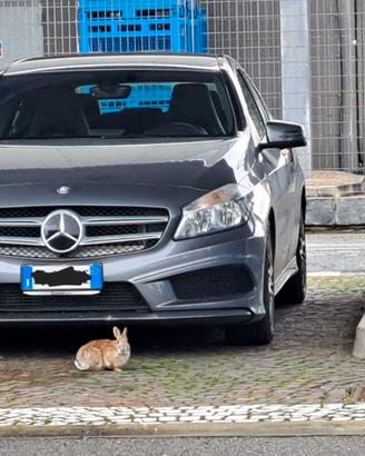 4 fari alogeni originali, Mercedes!