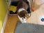 Immagine 26