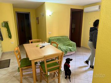 Appartamento seminterrato