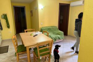 Appartamento seminterrato