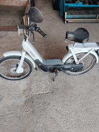 Piaggio Ciao PX, anno 1987