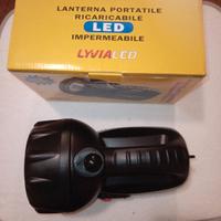 Torcia a Led.